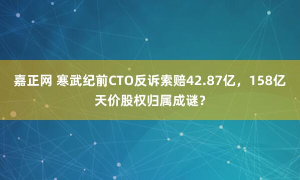 嘉正网 寒武纪前CTO反诉索赔42.87亿，158亿天价股权归属成谜？