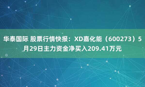 华泰国际 股票行情快报：XD嘉化能（600273）5月29日主力资金净买入209.41万元