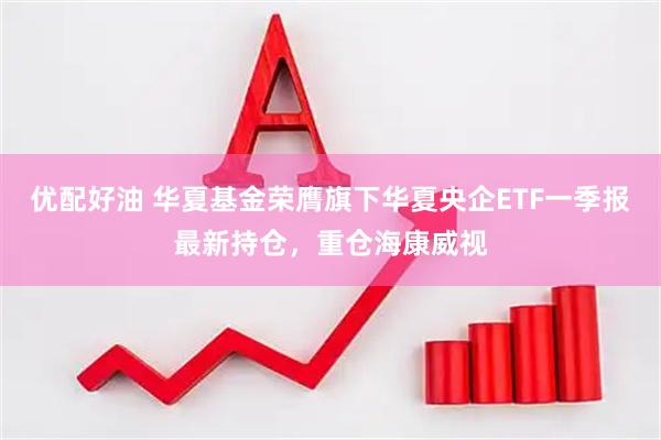 优配好油 华夏基金荣膺旗下华夏央企ETF一季报最新持仓，重仓海康威视
